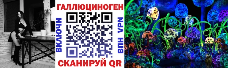 Псилоцибиновые грибы Psilocybe  что такое   Магнитогорск 