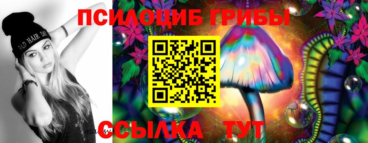 Псилоцибиновые грибы прущие грибы  Вход с VPN  Магнитогорск 